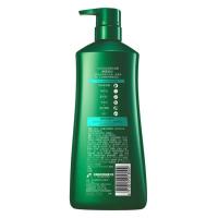 100年润发（CENTAINE） 净萃控油调理洗发露 茶叶香型 750ml (单位:瓶)新老包装随机发货