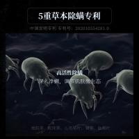 和风雨（Hefengyu） HFY001023 沐浴露 500ml*1 蓝色（单位：瓶）