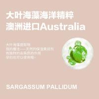 柏缇（POTE） 海藻维生素E 护发素 505ml （单位:瓶）
