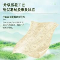 斑布（BABO） DBKR100B20-1 功夫熊猫系列抽纸 纸巾 100抽*20包 棕色（单位：箱）