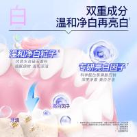 舒客 ZHS-YSQ10 悠净清新牙膏（清悦鲜果）120g（单位：支）