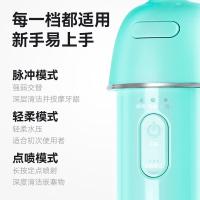 罗曼 Mini8 冲牙器 三档模式 续航140min（单位：台）麦浪绿