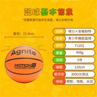 安格耐特（Agnite） F1102 篮球 5号（单位：个）