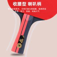 匹克（peak） P4星 YYZ4304 乒乓横直拍对拍套装 4星对拍+3只球（单位：套）