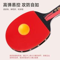 匹克（peak） P4星 YYZ4304 乒乓横直拍对拍套装 4星对拍+3只球（单位：套）
