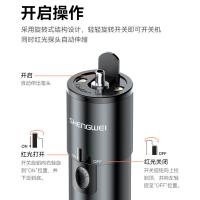 胜为（shengwei） GFB220 充电式红光测试笔 650nm 20mW (单位:个)