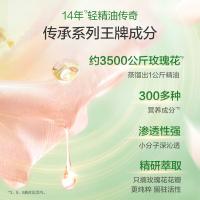 阿道夫（ADOLPH） 精油香护理专研洗发水(祛屑舒爽)420ml（单位：瓶）