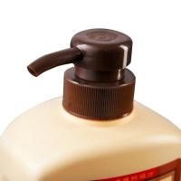 霸王（BAWANG） 首乌黑亮 洗发水 750ml 黄色（单位：瓶）