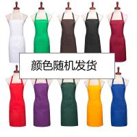 璞莉丝 PLS-W52 防污防油无袖挂脖围裙 65*75cm（单位:条）颜色随机发货