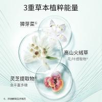 百雀羚 紧致保湿肌初抚纹精华液(焕新配方)30ml（单位：瓶）