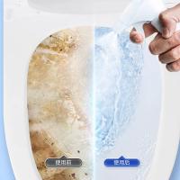 绿之源（GREEN SOURCE） 泡沫洁厕灵 清洁剂 500ml 白色（单位：瓶）