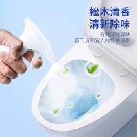 绿之源（GREEN SOURCE） 泡沫洁厕灵 清洁剂 500ml 白色（单位：瓶）