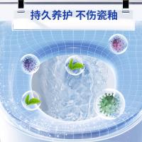 绿之源（GREEN SOURCE） 泡沫洁厕灵 清洁剂 500ml 白色（单位：瓶）