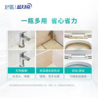 蓝月亮 除霉去渍剂 500g（单位：瓶）新老包装随机发货