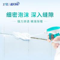 蓝月亮 除霉去渍剂 500g（单位：瓶）新老包装随机发货