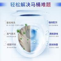 蓝月亮 厕清强效500g（单位：瓶）