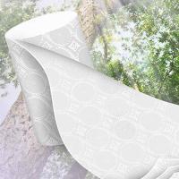 维达（Vinda） V4660-A 棉韧无芯卷筒卫生纸 100gx30卷/箱  (单位：箱 )
