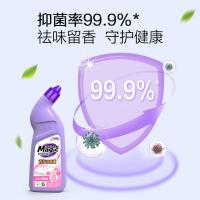 妙管家 元气樱花 洁厕液 500g*2 (单位：组) 紫色