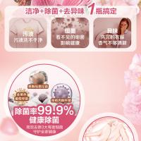 立白（Liby） APG除菌倍净 洗衣液 2kg*2 白色（单位：箱）