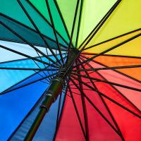 甠焓 QH-SZG231200 半自动直杆彩虹伞 55cm*16k (单位:把)