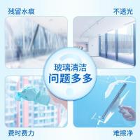 蓝月亮 玻璃水清洁剂 500g+补充装500g 2瓶/组（单位：组）