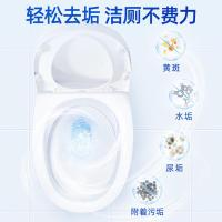 蓝月亮 卫诺清怡罗兰香氛 洁厕液 500g*4 (单位：组) 蓝色