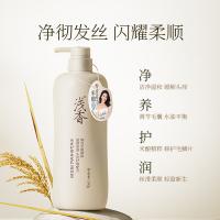 浅香（ASAKA） 去屑净爽型 米酿头皮护理洗发乳 500g 新老包装随机发货 (单位:瓶)