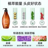 滋源（seeyoung）茶籽控油去屑洗发水 男女士清爽轻盈滋润无硅油  400ml （单位：瓶）
