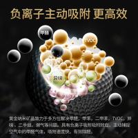 绿之源（GREEN SOURCE）Z-6350 超强力除醛黄金纳米矿晶 1.6kg（单位：盒）