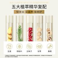 滋源（seeyoung）生姜强根健发护发素  侧柏叶强韧修护清爽润发乳男女士油性 400ml （单位：瓶）新老包装随机发货