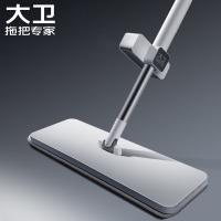 大卫 P10 平板拖把 把盘36*10cm+把长133cm+拖布*2（单位：套） 冰峰白 拖把头AB款式随机发货