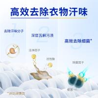 蓝月亮 小苍兰香运动型 洗衣液 2kg（单位：瓶）新老包装随机发货