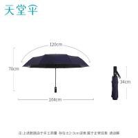 天堂伞 全自动三折晴雨伞 8骨（单位:把）颜色随机