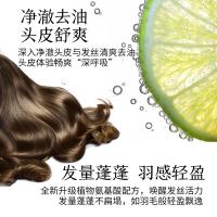 100年润发（CENTAINE） 洗发露 羽感轻盈调理 550ML（单位：瓶）新老包装随机发货
