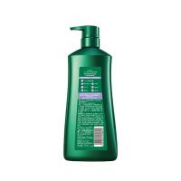 100年润发（CENTAINE） 排浊净屑洗发露 去屑止痒 750ml (单位:瓶)
