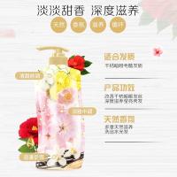 舒蕾 山茶焗油莹亮 洗发水 600ml （单位：瓶） 新老包装随机发货
