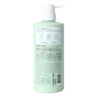 柏缇（POTE） 去屑滋养 茶树去屑洗发露 650ml(单位：瓶)