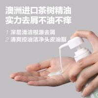 柏缇（POTE） 去屑滋养 茶树去屑洗发露 650ml(单位：瓶)