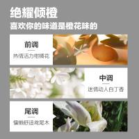 柏缇（POTE） 去屑滋养 茶树去屑洗发露 650ml(单位：瓶)
