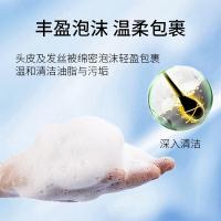 100年润发（CENTAINE） 洗发露 强韧养发调理 750ML（单位：瓶）