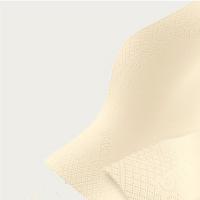 斑布（BABO） BJPP08432-1-T 快乐小狗手帕纸 8片/包x4层x18包 18包/条  (单位：条 )