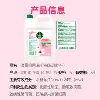 滴露（Dettol） 滋润倍护 抑菌洗手液 5L (单位:瓶)