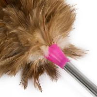 科力邦 KB1122 鸡毛掸子 长70cm 毛区40cm (单位:个)