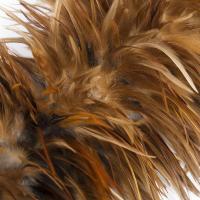 科力邦 KB1122 鸡毛掸子 长70cm 毛区40cm (单位:个)