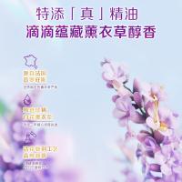 立白（Liby） 香氛净护精油 洗衣凝珠尝鲜装3颗 24g 紫色（单位：袋）新老包装随机发货