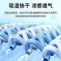 艾逸瑶选 FS-2509 艾出行冰丝防晒抗菌口罩 均码（单位:套）