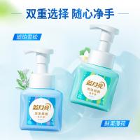 蓝月亮  泡沫抑菌（琥珀雪松）洗手液  255ml（单位：瓶）新老包装随机发货