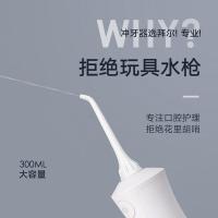 拜尔（BAIR）M301 便携式冲牙器 300ML （单位:个）白色