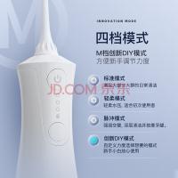 拜尔（BAIR）M301 便携式冲牙器 300ML （单位:个）白色