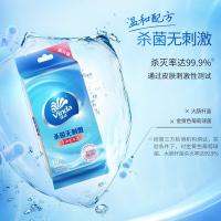 维达（Vinda） DXTWD074 湿巾 湿纸巾 10片*10包 白色（单位：袋）